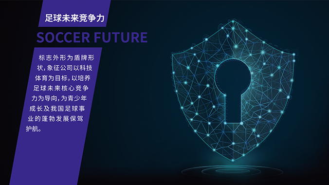 雪域未來(lái) logo設(shè)計(jì) 公司logo設(shè)計(jì) 企業(yè)標(biāo)志設(shè)計(jì)