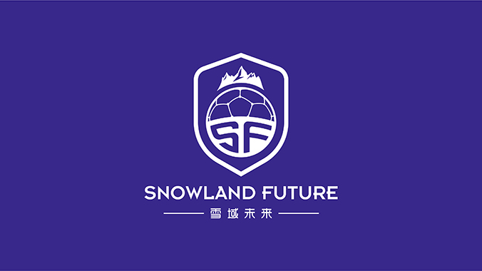 雪域未來(lái) logo設(shè)計(jì) 公司logo設(shè)計(jì) 企業(yè)標(biāo)志設(shè)計(jì)